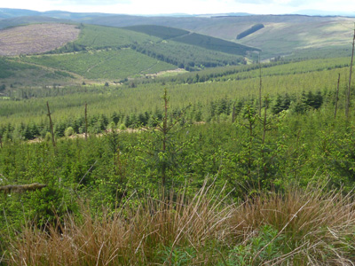 Southern Scotland